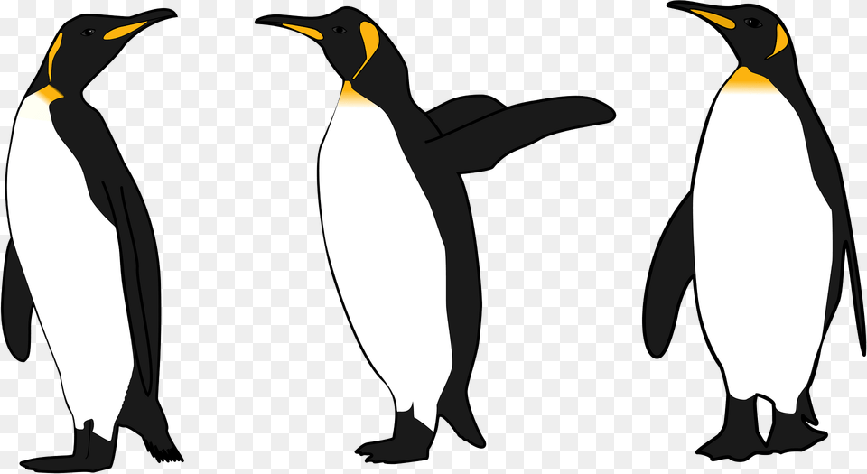 Penguins Gesturing Clipart, Animal, Bird, Penguin, King Penguin Png