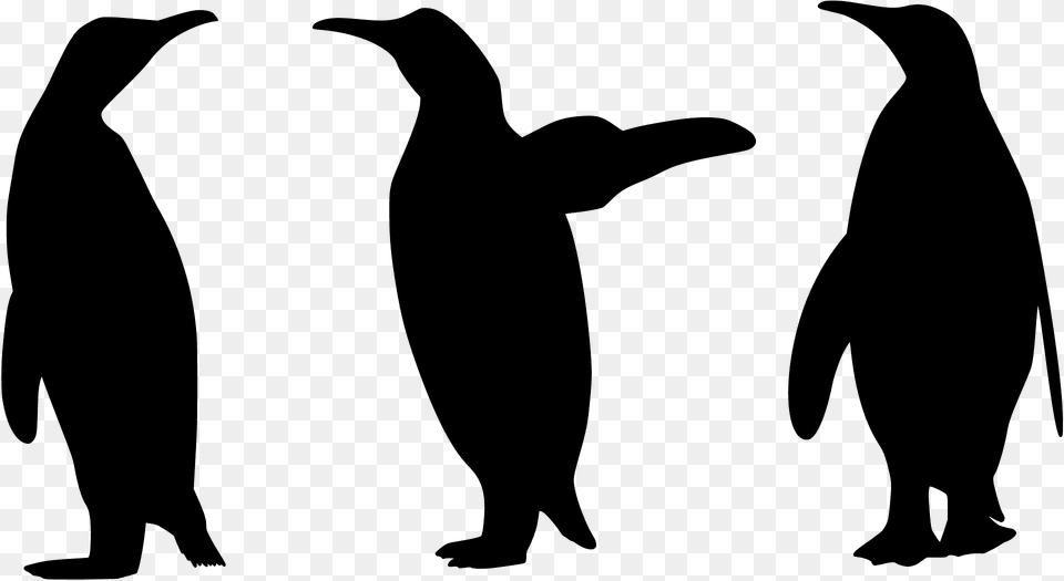 Penguins Gesturing Silhouette, Animal, Bird, Penguin, Bear Free Transparent Png