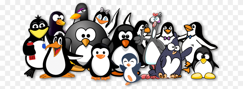 Penguins Like Ocal, Animal, Bird, Penguin, Face Free Png Download