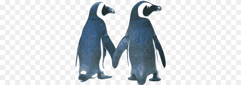 Penguins Love Birds Couple Nature Tux Vale Penguins Holding Hands, Animal, Bird, Penguin, Smoke Pipe Png Image