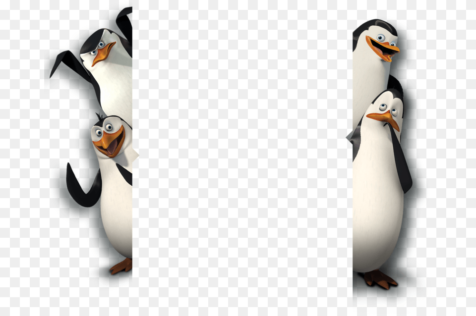 Penguins Of Madagascar Background, Animal, Bird, Penguin Free Png Download