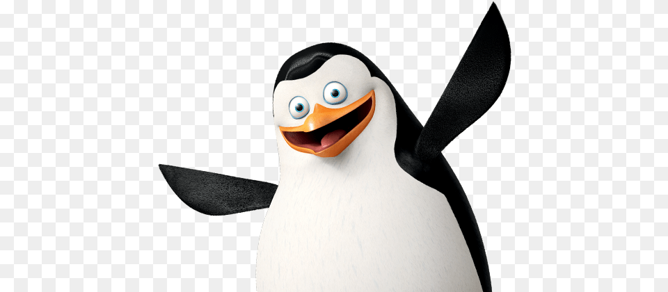 Penguins Of Madagascar Background Characters In Madagascar As Humans, Animal, Bird, Penguin, Adult Free Png Download