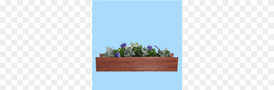 Pennington 24 In X 7 In Wood Window Box 4 Case, Jar, Plant, Planter, Potted Plant Free Png