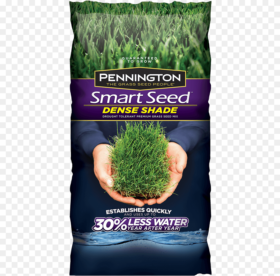 Pennington Shade Grass Seed, Advertisement, Poster, Plant, Herbs Free Png