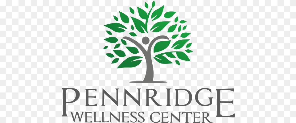 Pennridge Wellness Center Chiropractor In Blooming Health, Vegetation, Tree, Plant, Leaf Free Transparent Png