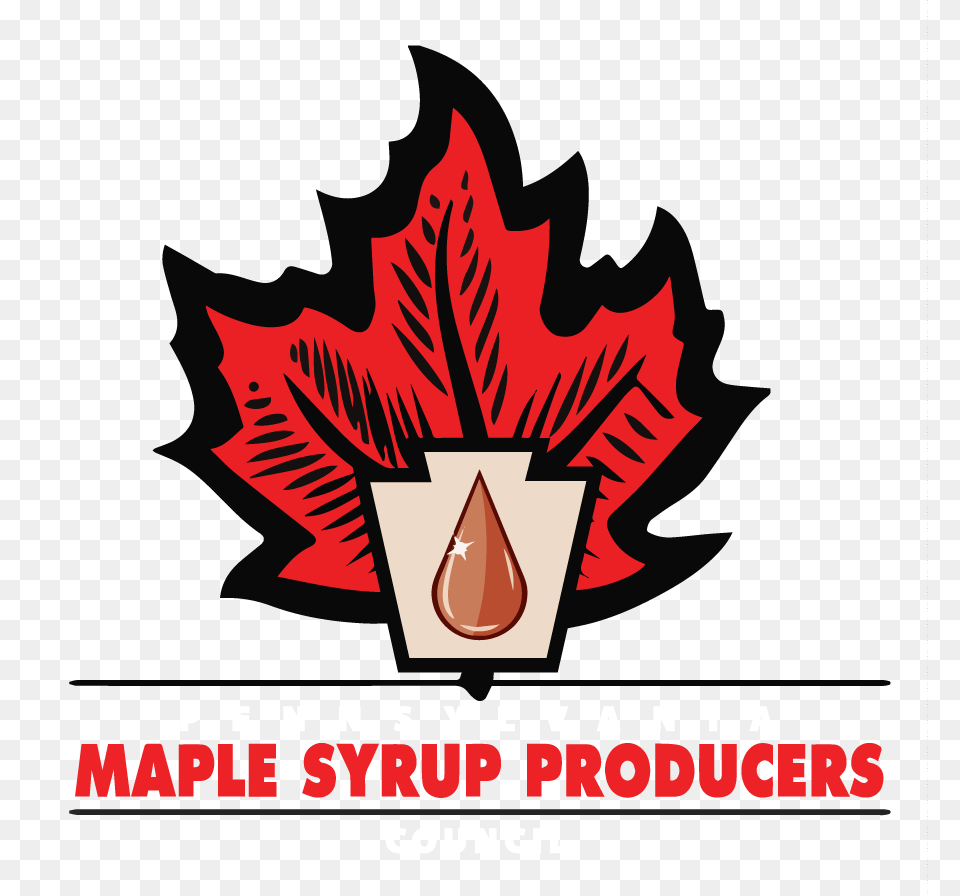 Pennsylvania Maple Syrup Producers Council Real Maple Syrup, Leaf, Plant, Tree, Advertisement Free Png Download