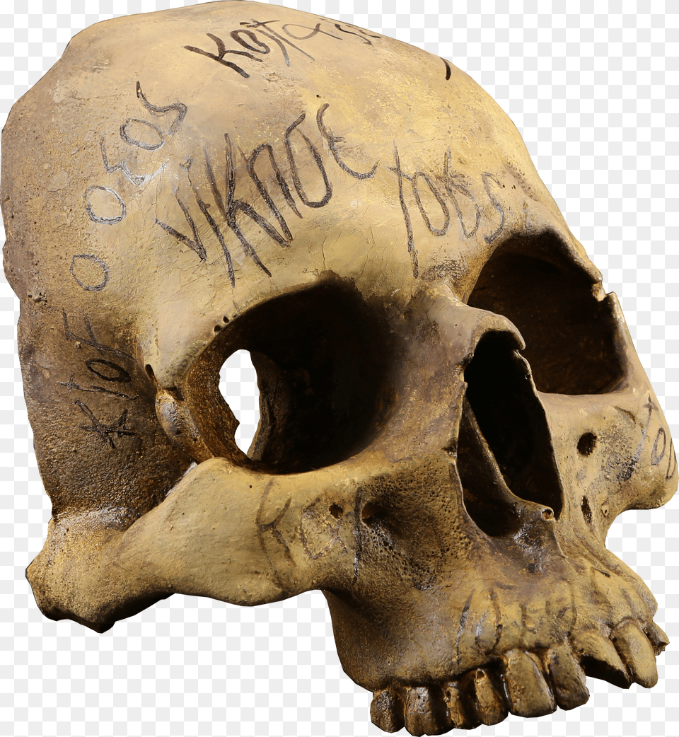 Pennydreadful Auction Halloween Spooky Horror Skull Free Transparent Png