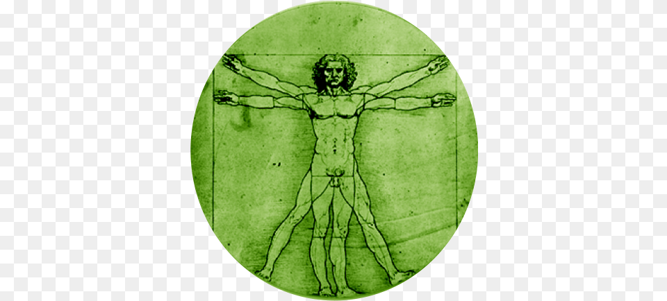 Pentacle Of The Garden Leonardo Da Vinci Range Of Motion, Cross, Symbol, Person, Art Free Png