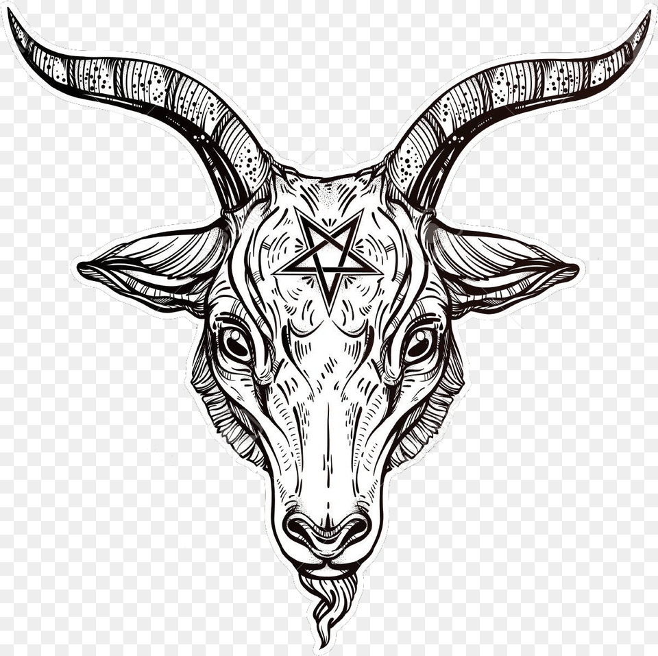 Pentagram With Demon Baphomet Satanic Goat Satanic Goat Head Drawing, Animal, Mammal, Bull, Cattle Free Png Download