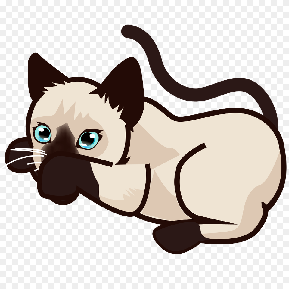 Peo Siamese Kitten, Animal, Pet, Mammal, Cat Free Transparent Png
