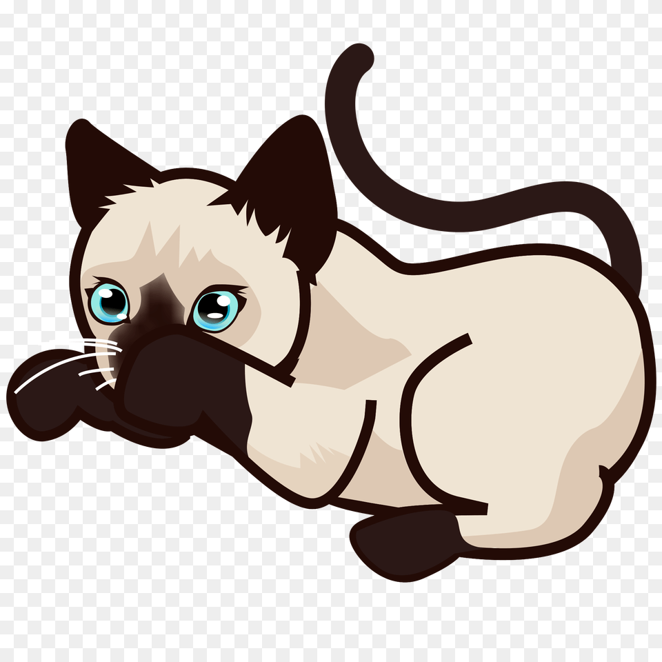 Peo Siamese Kitten, Animal, Pet, Mammal, Cat Free Png