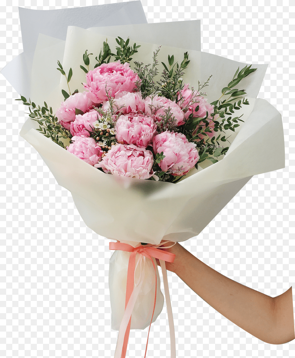 Peonies Png Image