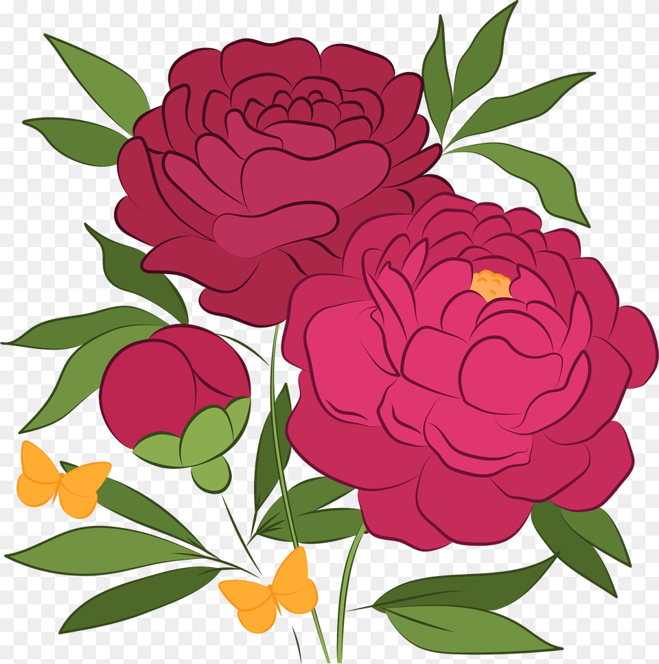 Peonies Clipart, Flower, Pattern, Plant, Art Png