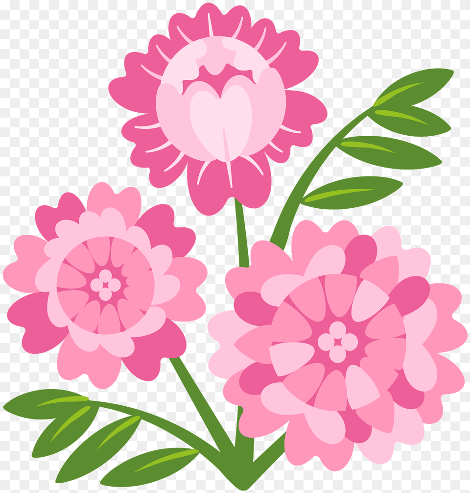 Peonies Clipart, Dahlia, Flower, Petal, Plant Png Image