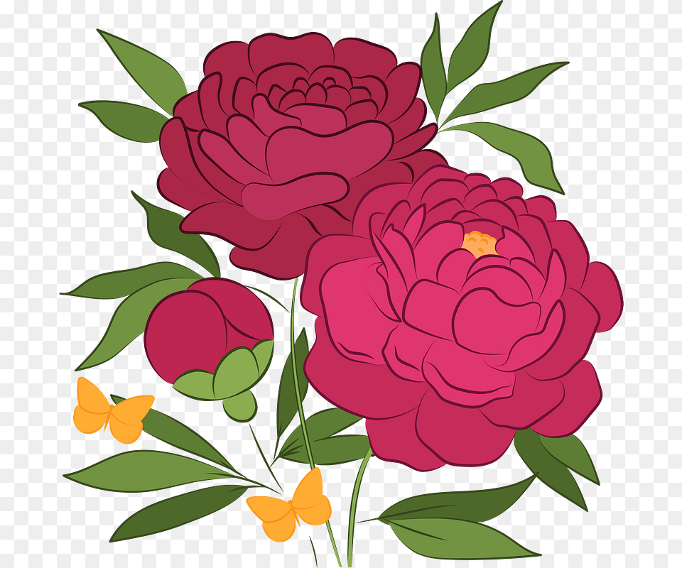 Peonies Clipart Common Zinnia, Flower, Pattern, Plant, Art Png
