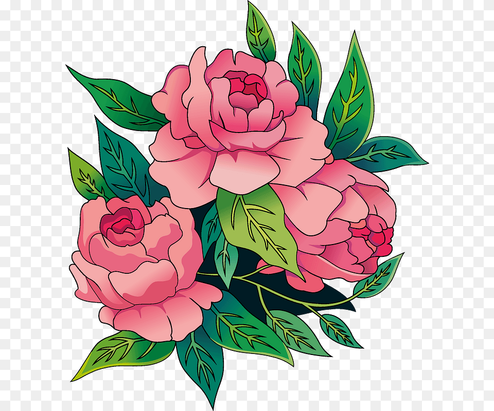 Peonies Clipart Japanese Camellia, Flower, Plant, Pattern, Rose Free Png