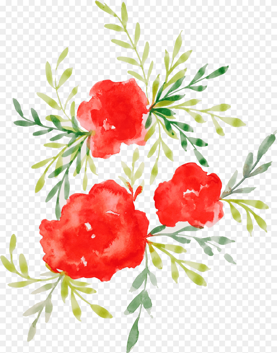 Peonies Clipart Loose Watercolor Red Watercolor Flowers Transparent Background Png