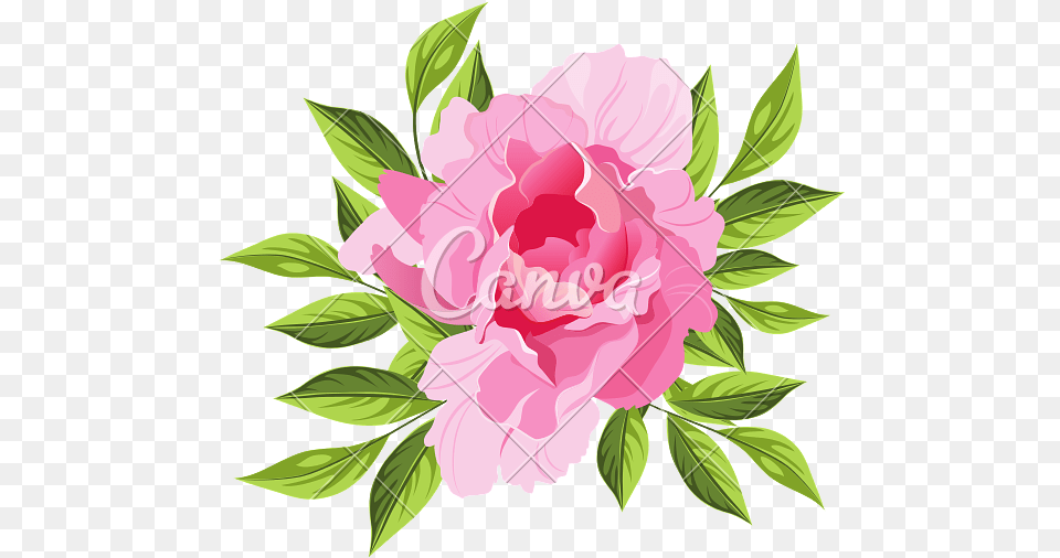 Peonies Clipart Realistic Mothers Day Dinner Invitation, Flower, Plant, Peony Free Png Download
