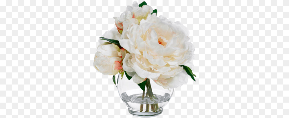 Peonies Garden Roses, Flower, Flower Arrangement, Flower Bouquet, Plant Free Png