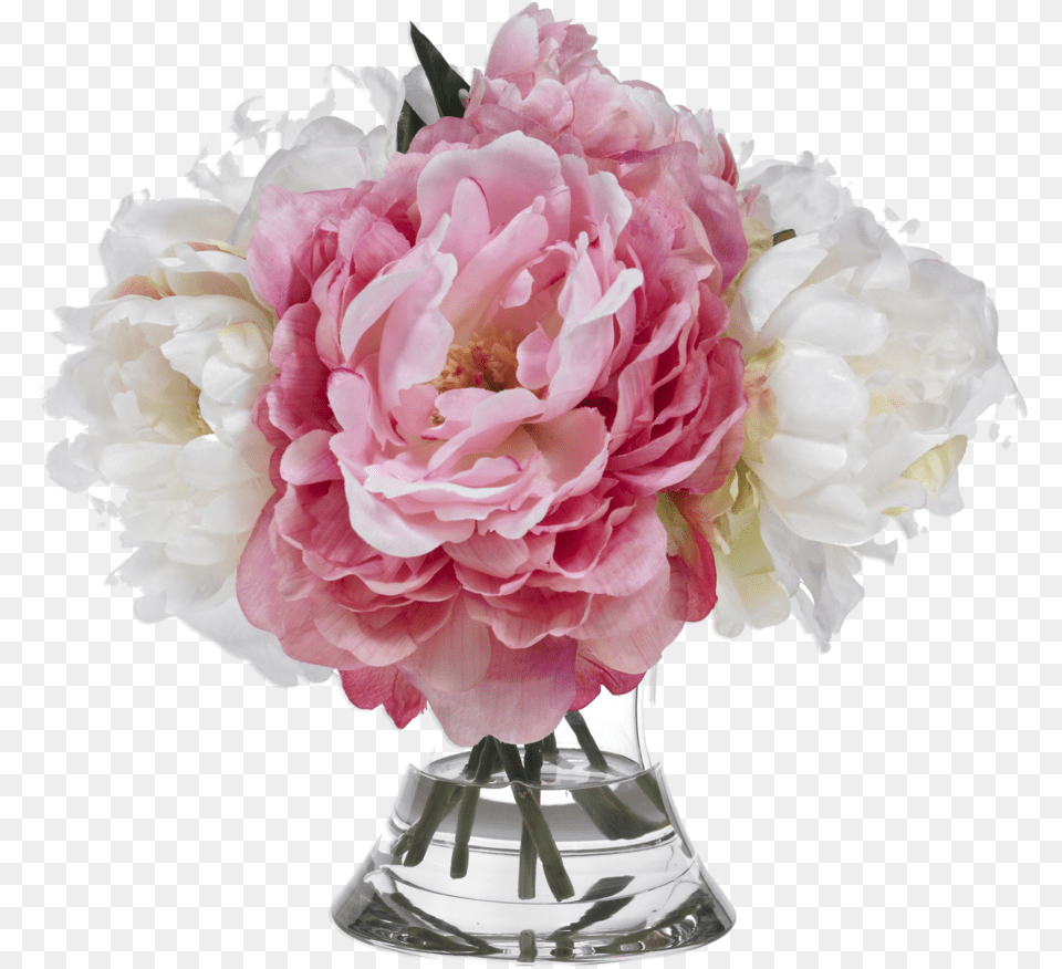 Peonies Pink And White, Flower, Flower Arrangement, Flower Bouquet, Plant Free Transparent Png