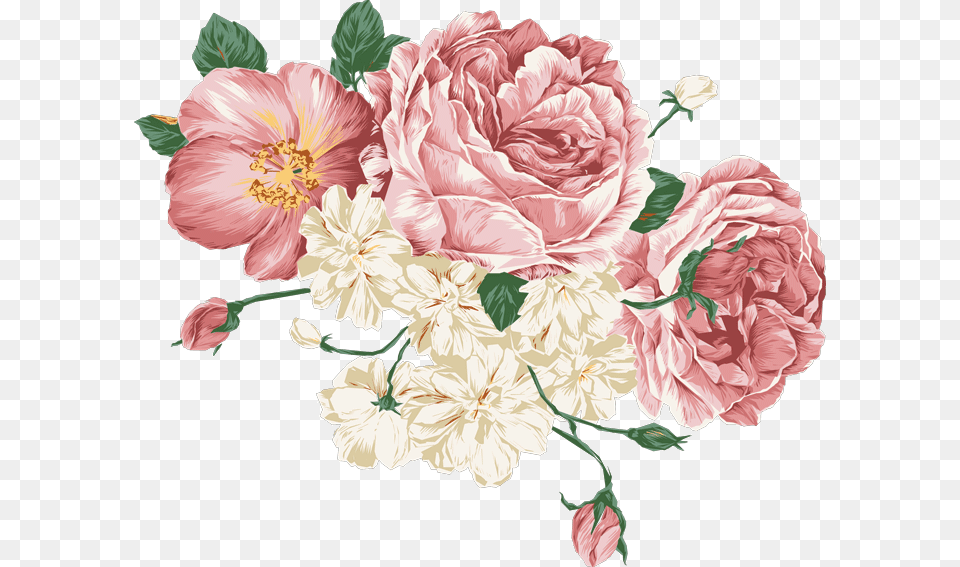 Peonies Vector Transparent Pink Flower Drawing, Art, Graphics, Pattern, Plant Free Png Download