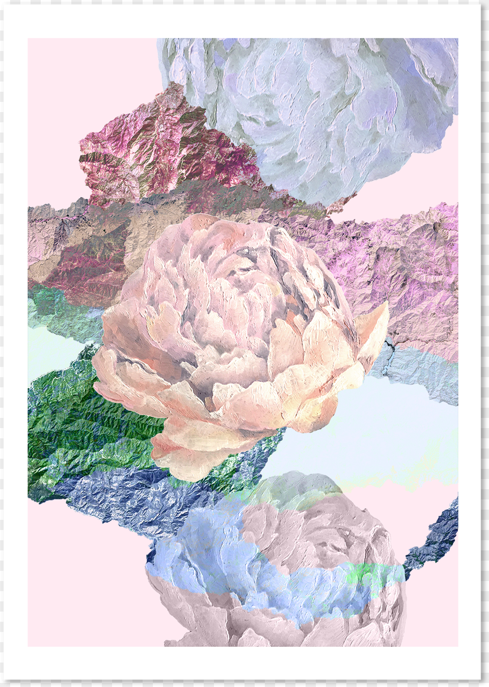 Peonies You, Art, Painting, Pattern, Flower Free Transparent Png