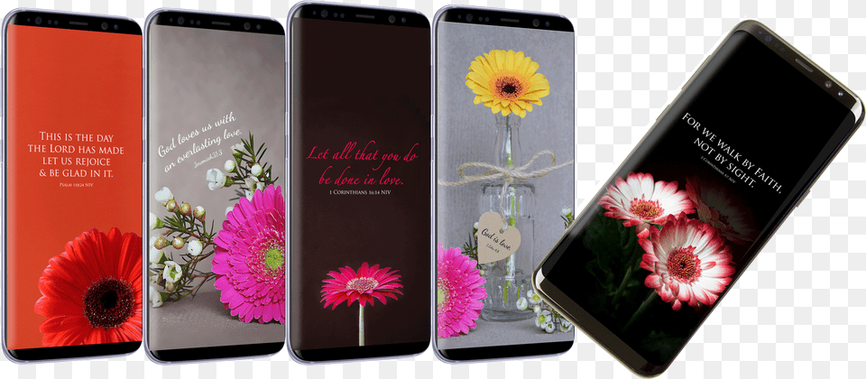 Peony, Electronics, Mobile Phone, Phone, Flower Free Png Download