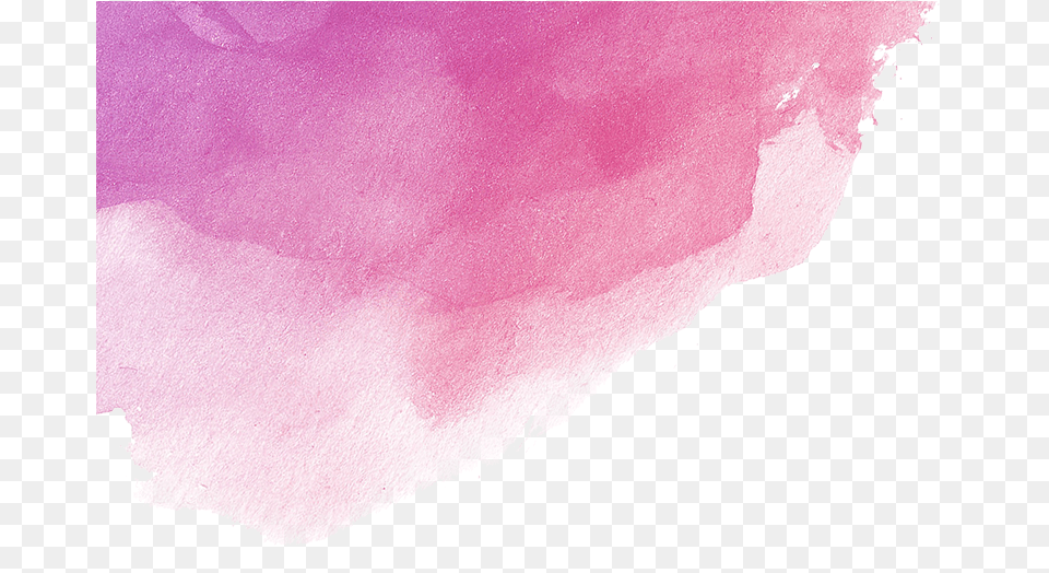 Peony, Paper, Stain, Mineral Free Png