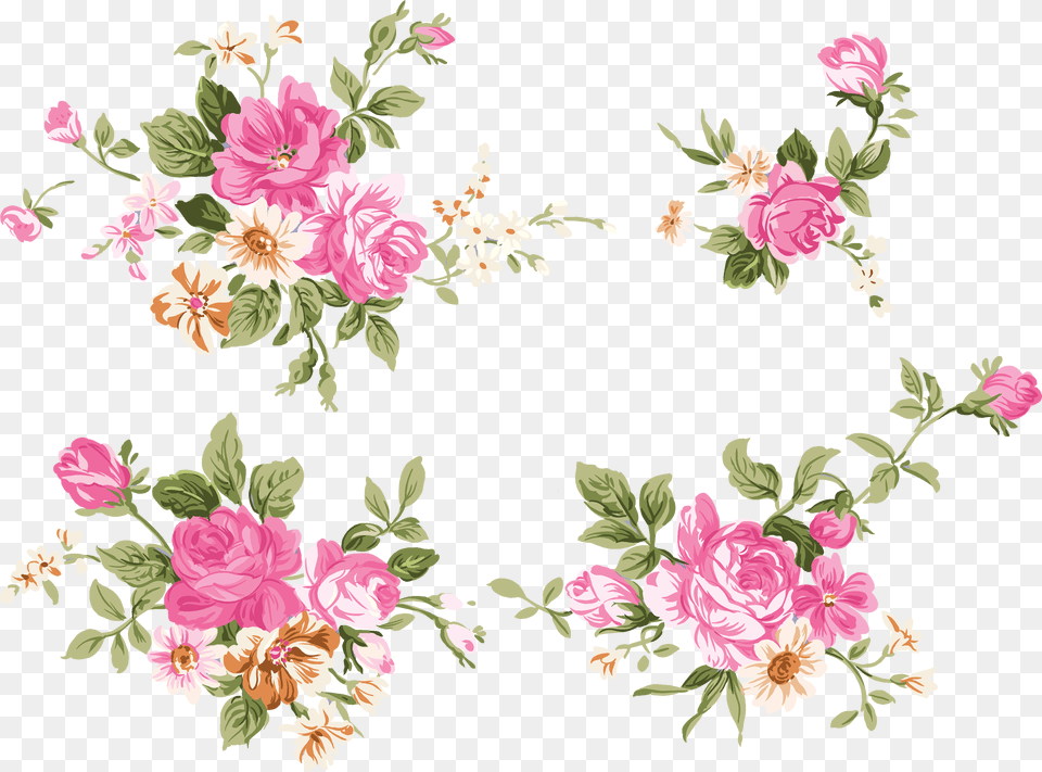 Peony Clip Art Peony Vector Free Download, Floral Design, Graphics, Pattern, Flower Png Image