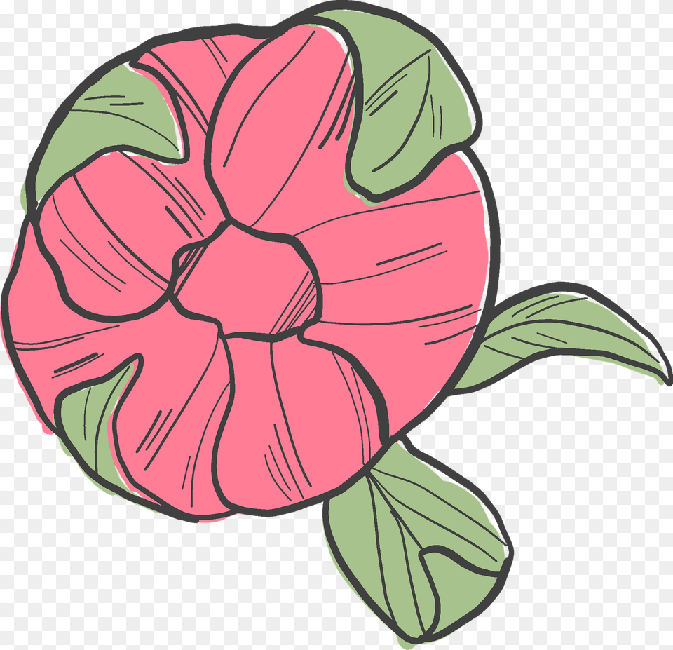 Peony Clipart, Flower, Plant, Pattern, Dahlia Free Png