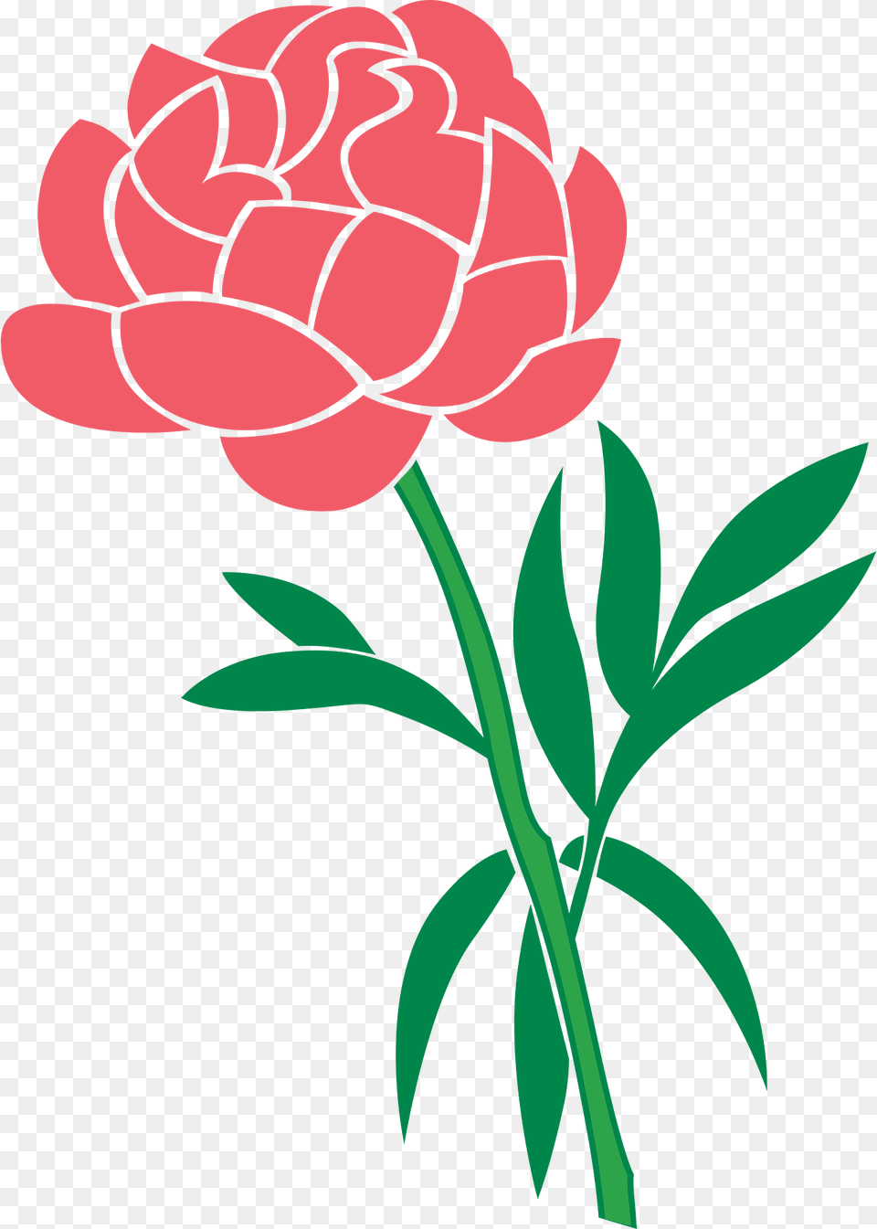 Peony Clipart, Flower, Plant, Carnation, Dahlia Png Image