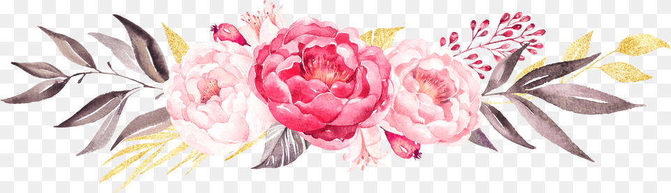 Peony Clipart Blush Peony Watercolour Peonies Clip Art Free Transparent Png