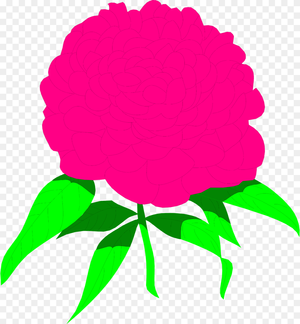 Peony Cliparts Carnation, Dahlia, Flower, Plant Free Png