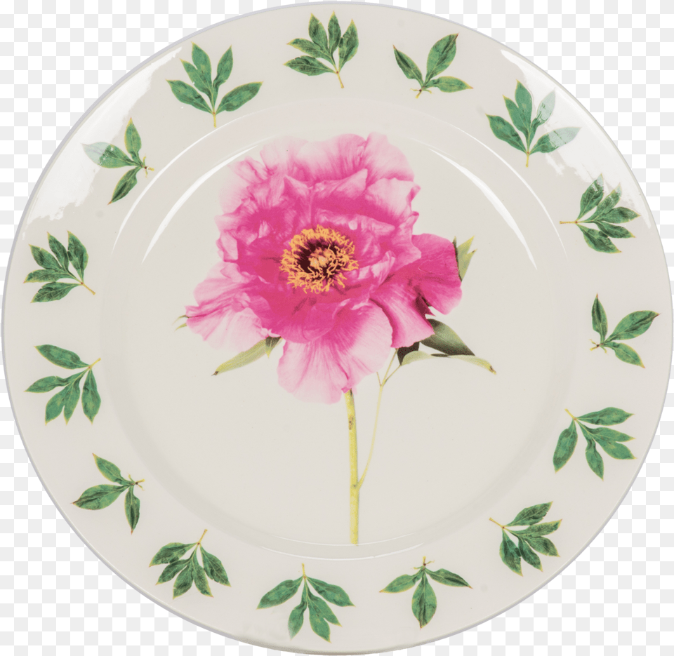 Peony Dinner Plate Dinner Plate, Art, Dish, Pottery, Food Free Png Download