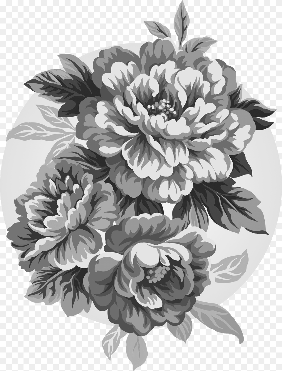 Peony Flower Chinese Drawing, Art, Floral Design, Graphics, Pattern Free Png Download