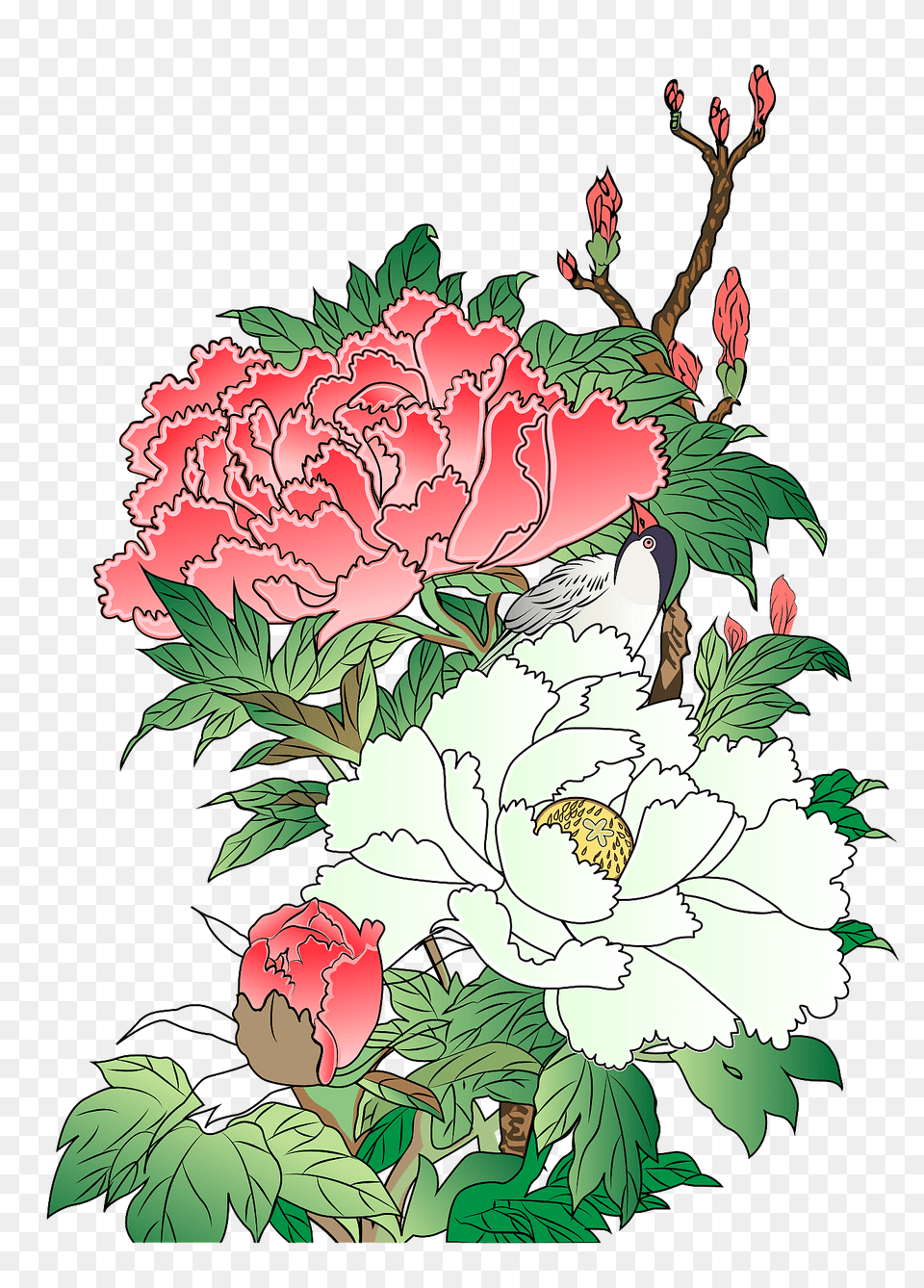Peony Flower Clipart, Plant, Art, Graphics, Rose Png Image