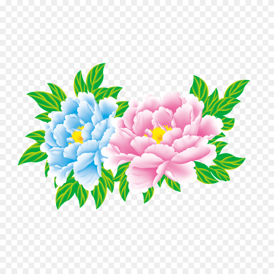 Peony Flower Vector, Dahlia, Plant, Art, Graphics Free Png Download