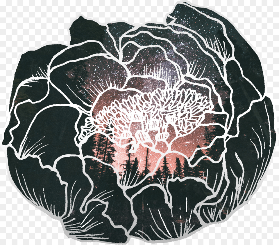 Peony Forest Sunset Sticker Datura Inoxia, Animal, Sea Life, Accessories, Invertebrate Png