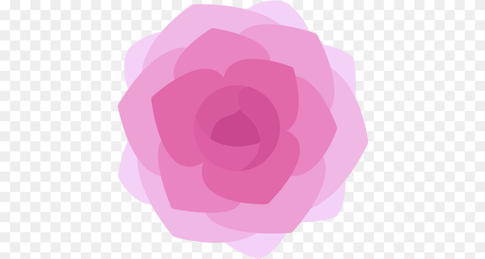 Peony Nature Icons Flower Icon Pink, Petal, Plant, Rose, Ammunition Free Png