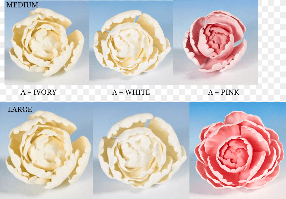 Peony Heads Flower Icing Cake Decorations Garden Rose Icing Flower, Cream, Dessert, Food, Plant Free Transparent Png