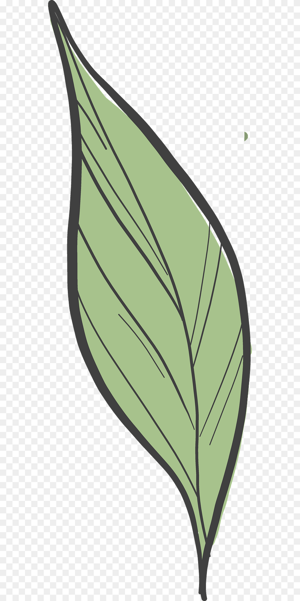 Peony Leaf Clipart, Plant, Bow, Weapon Free Png
