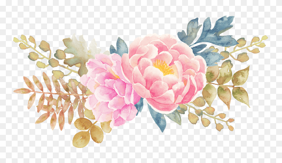 Peony Painting Watercolor Flowers Flower Free Png Download