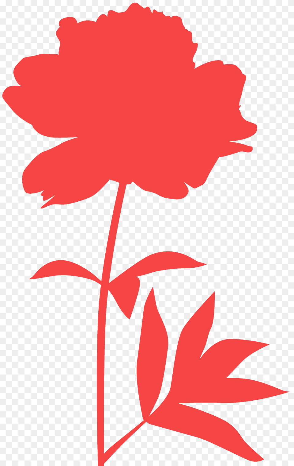 Peony Silhouette, Flower, Leaf, Plant, Carnation Png