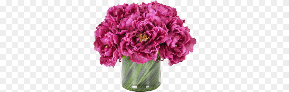 Peony Vase Flowers, Carnation, Flower, Plant, Flower Arrangement Png Image