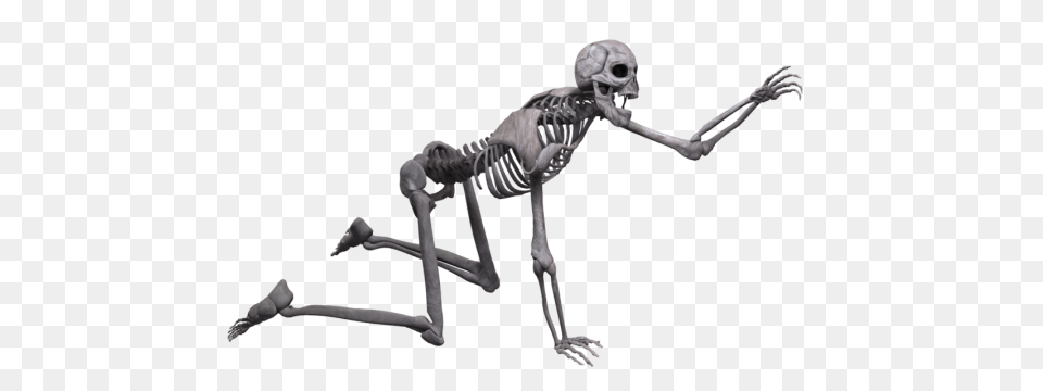 Peopl Skeleton, Animal, Bird Png