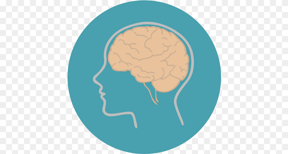 People Medical Brain Body Part Biology Brain Icon, Face, Head, Person, Baby Png