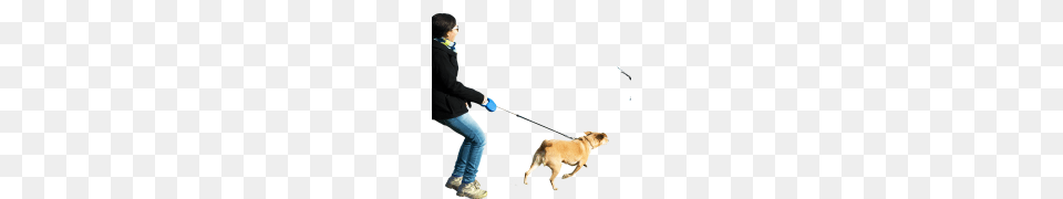 People Picture, Accessories, Strap, Canine, Pet Png
