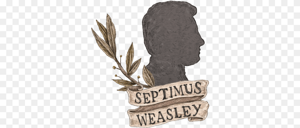 People Septimus Half Septimus Weasley, Leaf, Plant, Tree, Person Png