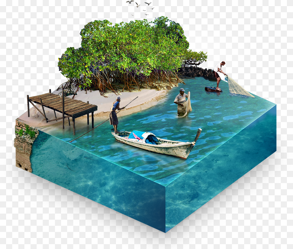 People Swimming Mangroves, Boat, Vehicle, Transportation, Rowboat Free Png