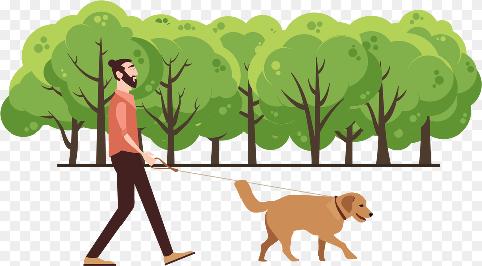 People Walk Walking Dog In Park Clipart, Person, Animal, Canine, Pet Free Transparent Png